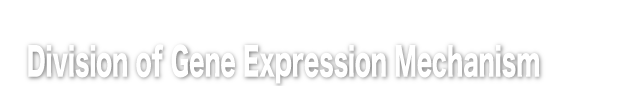 Center for Medical Science [CMS], Fujita Health University, Division of Gene Expression Mechanism