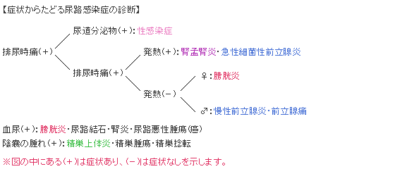 症状からたどる尿路感染症の診断